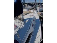 Catalina 320 Click to launch Larger Image