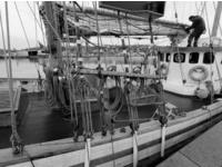 Custom Danish Hajkutter Gaff Click to launch Larger Image