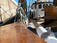 Custom Danish Hajkutter Gaff Click to launch Larger Image