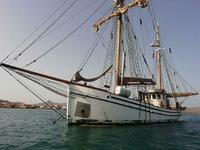 Custom Danish Hajkutter Gaff Click to launch Larger Image