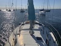 Catalina 30 sloop Click to launch Larger Image