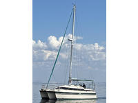 Island Packet Catamaran Click to launch Larger Image