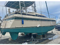 Island Packet Catamaran Click to launch Larger Image