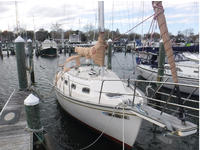 1988 Cambridge Md Maryland 27 Island Packet 27