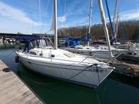 Catalina 310 Click to launch Larger Image