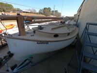 Menger Cat 19 Click to launch Larger Image