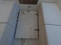 Menger Cat 19 Click to launch Larger Image