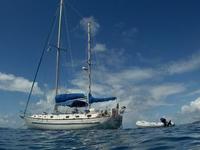 1981 Nanny Cay  46 Morgan 462