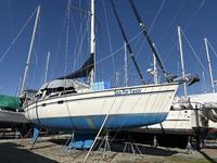 Hunter Passage 42 Click to launch Larger Image