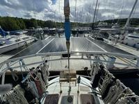 Hylas 47 Click to launch Larger Image