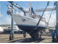 Hylas 47 Click to launch Larger Image