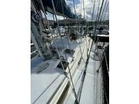 Hylas 47 Click to launch Larger Image