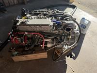 Alajuela 38 Click to launch Larger Image