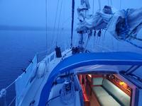 Oday 28 Click to launch Larger Image