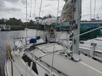 Oday 28 Click to launch Larger Image