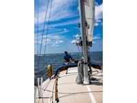 Oday 28 Click to launch Larger Image