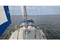 Oday 28 Click to launch Larger Image