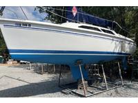 Catalina 250 Click to launch Larger Image