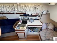 Catalina 250 Click to launch Larger Image