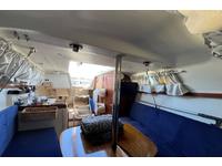 Catalina 250 Click to launch Larger Image