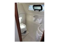 Catalina 250 Click to launch Larger Image