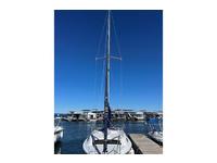 Catalina 250 Click to launch Larger Image