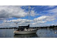 Ta Shing Baba 30 Click to launch Larger Image