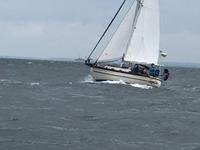 Ta Shing Baba 30 Click to launch Larger Image