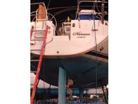 Jeanneau Sun Odyssey 40.3 Click to launch Larger Image