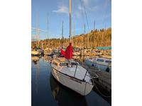  Thunderbird Click to launch Larger Image