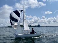 Zim Sailing C420 8738 Click to launch Larger Image