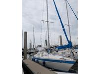 Wauquiez Pretorian 35