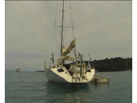 P Millner Bruce Farr 40 '86 Sydney to Hobart Dvision B winner Click to launch Larger Image