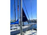 Tartan  Click to launch Larger Image