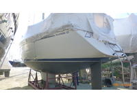 Pearson 332 Click to launch Larger Image