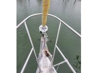 Catalina 30 Tall Rig Click to launch Larger Image