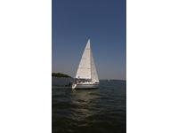 Precision 23 Sold Click to launch Larger Image