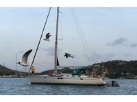 1991 Spice Island Marine  45 Beneteau Oceanis 440