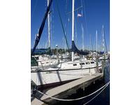 1985 Jacksonville Florida 34 S2 10.3