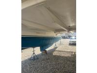 Robertson and Caine Leopard 38 Click to launch Larger Image