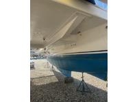 Robertson and Caine Leopard 38 Click to launch Larger Image