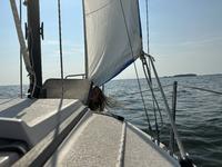 Precision Boat Works Precision 18 Click to launch Larger Image