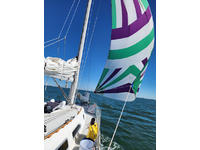 Freedom F38 Click to launch Larger Image