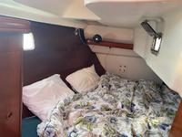 Beneteau 361 Click to launch Larger Image