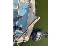 Balboa 20 Click to launch Larger Image