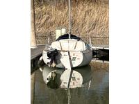 Balboa 20 Click to launch Larger Image