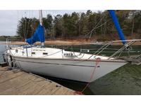 1980 Buford Georgia 38 Morgan 382