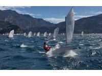 McLaughlin Pro Race Click to launch Larger Image