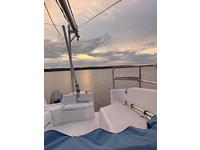 Hunter 240 Click to launch Larger Image