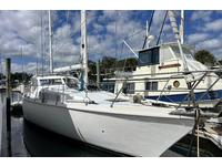 1986 St Augustine Florida 53 Amel Mango